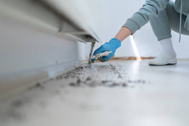 Best Affordable Pest Control Services  in South Chicago Heights, IL